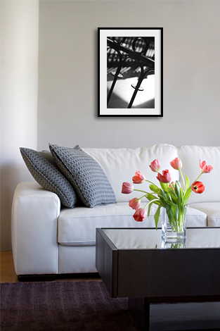 Dica de Decoração - Fotografia Assinada by Carlos Gondim